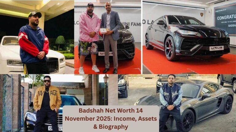 Badshah Net Worth 14 November 2025: Income, Assets & Biography